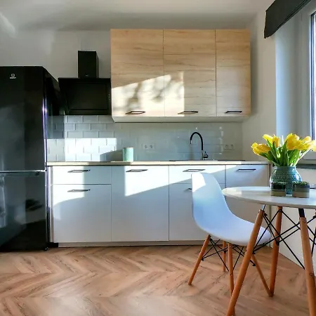 Przytulny Przy Sokolskiej - 550 Metrow Od Spodka 카토비체