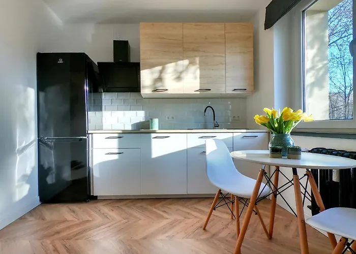 Przytulny Przy Sokolskiej - 550 Metrow Od Spodka 카토비체